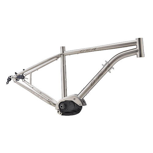 Bloom Z20 electric bike Frame